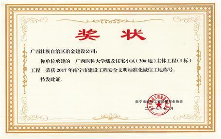 南寧分公司四個(gè)項(xiàng)目獲表彰！