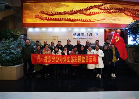 【“兩優(yōu)一先”牢記使命作表率】桂東分公司黨支部：強基固本筑堡壘 黨建引領促發(fā)展